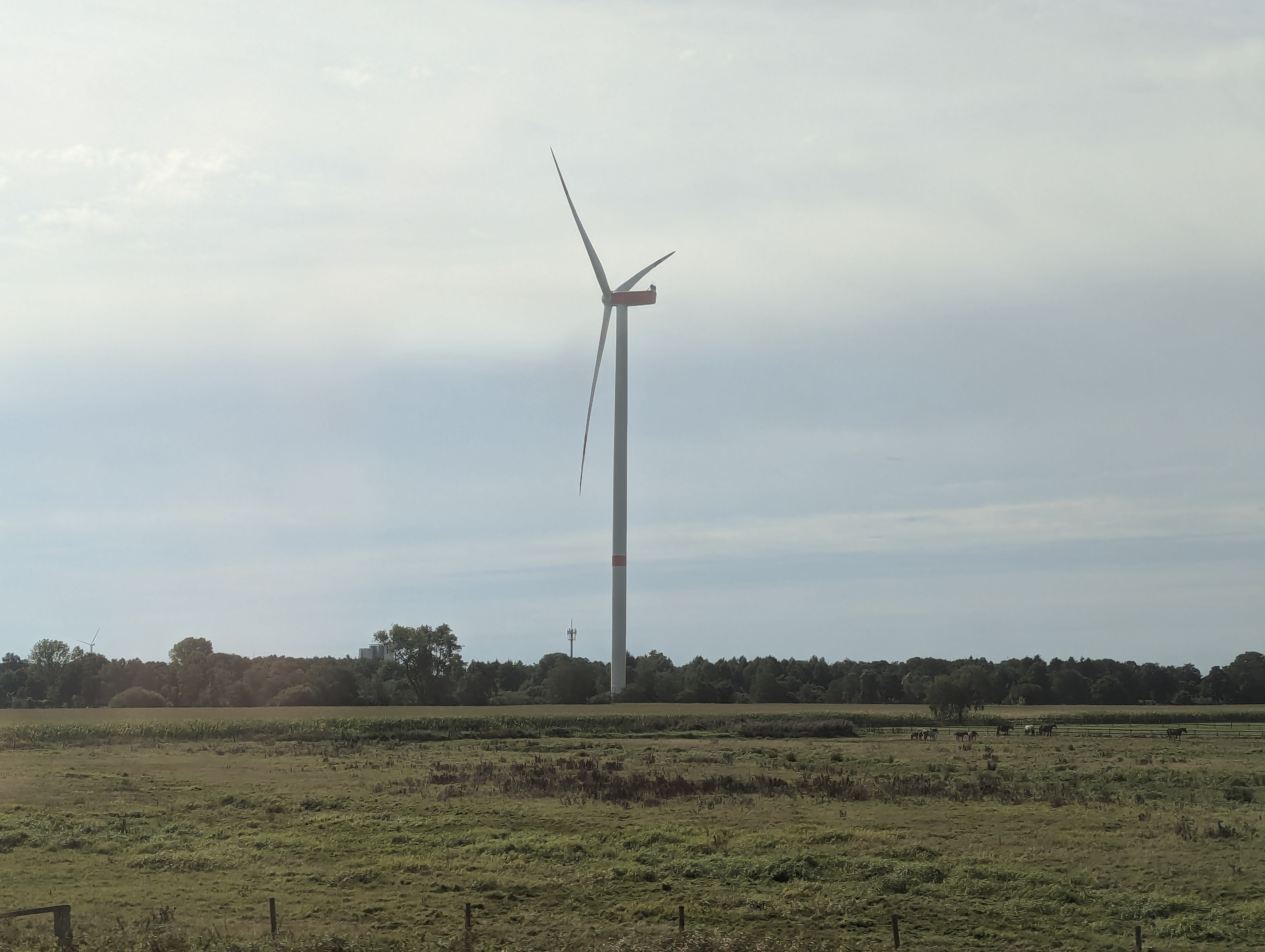 Train to Muenster, Germany